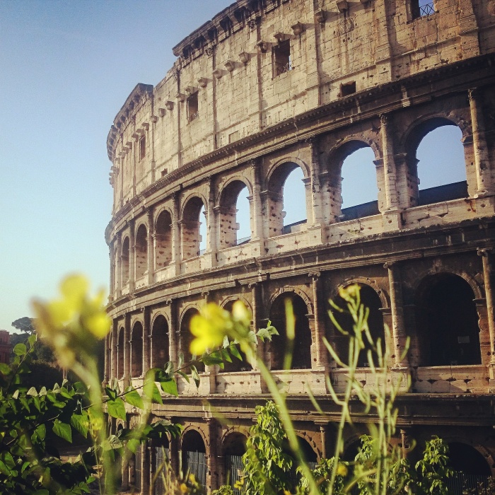 Colosseum flowers